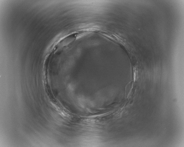 X0000066010339200603171511