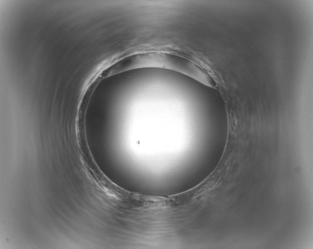 X0000066010340200603171511