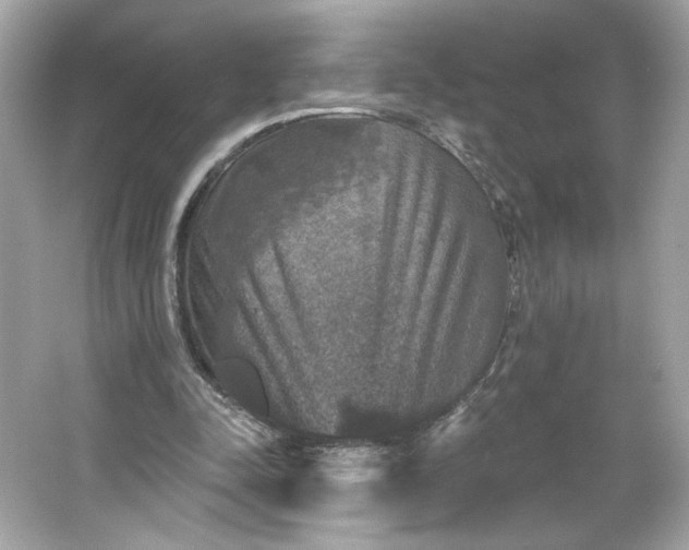 X0000066010342200603171511