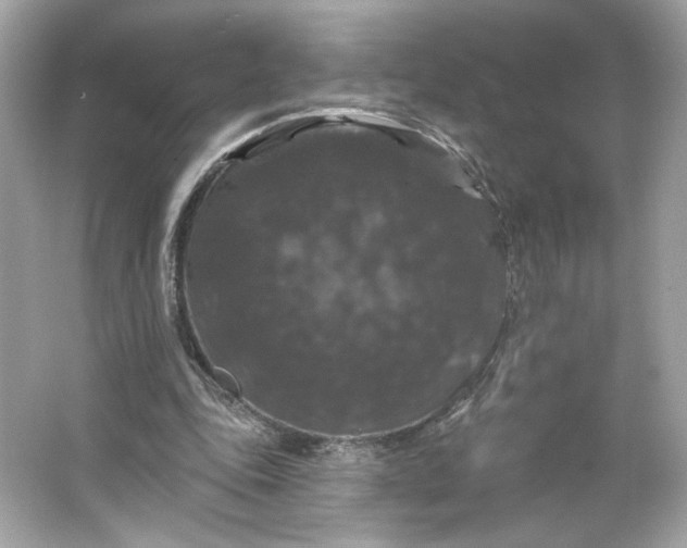 X0000066010343200603171511