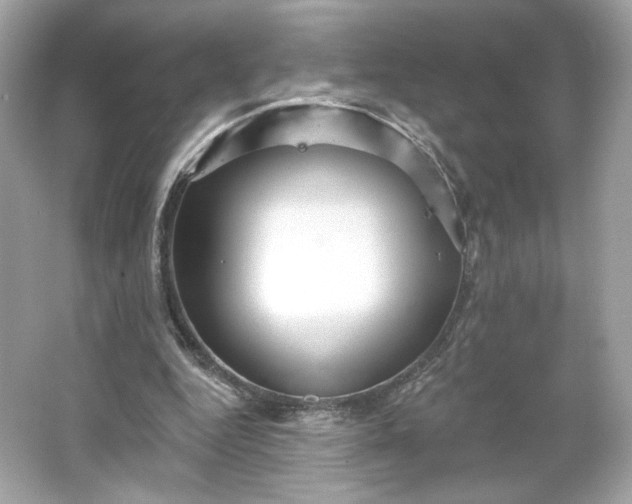 X0000066010344200603171511