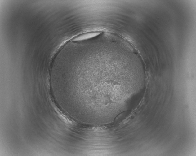 X0000066010345200603171511