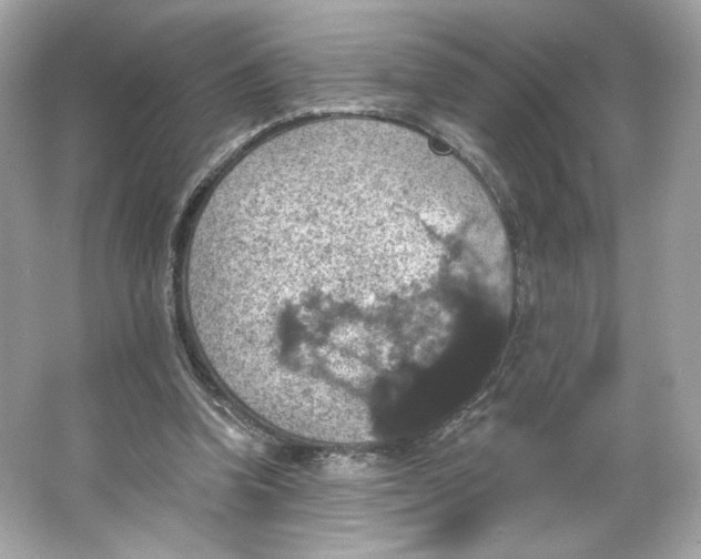 X0000066010346200603171511