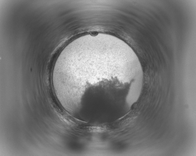 X0000066010347200603171511