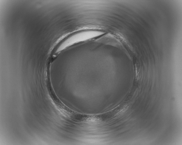 X0000066010348200603171512