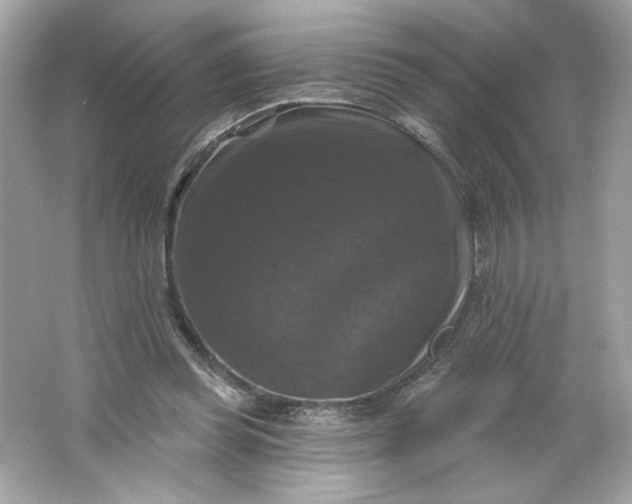 X0000066010349200603171512