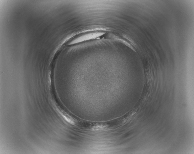 X0000066010350200603171512