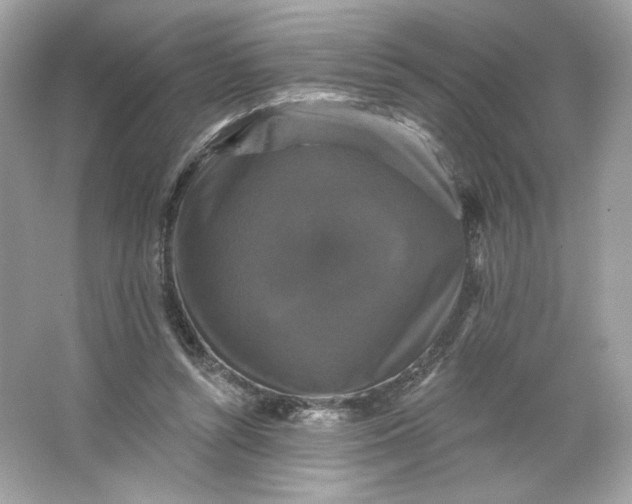 X0000066010352200603171512