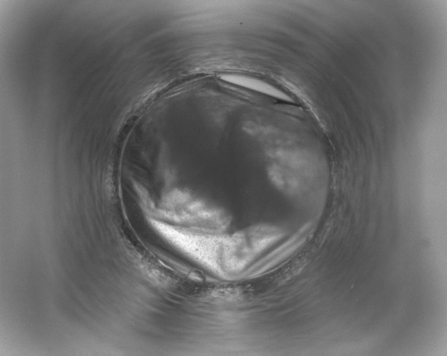 X0000066010353200603171512