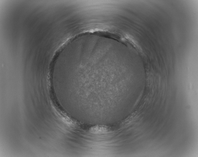 X0000066010354200603171512