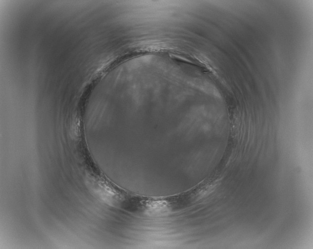 X0000066010355200603171512