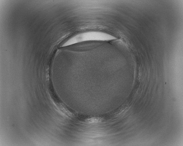 X0000066010356200603171512