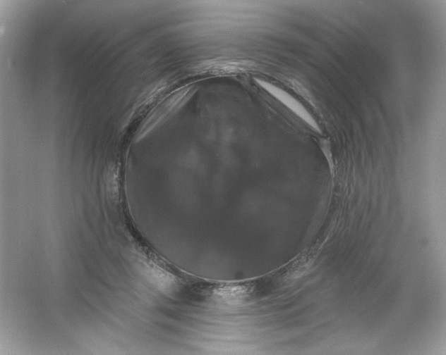 X0000066010357200603171512