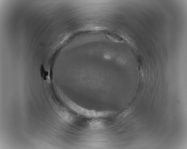 X0000066010358200603171512