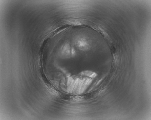 X0000066010359200603171512