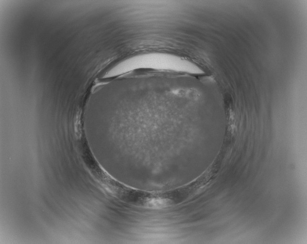 X0000066010360200603171512