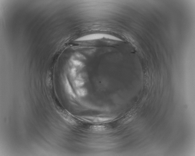 X0000066010361200603171512