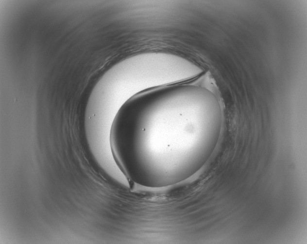 X0000066010362200603171512