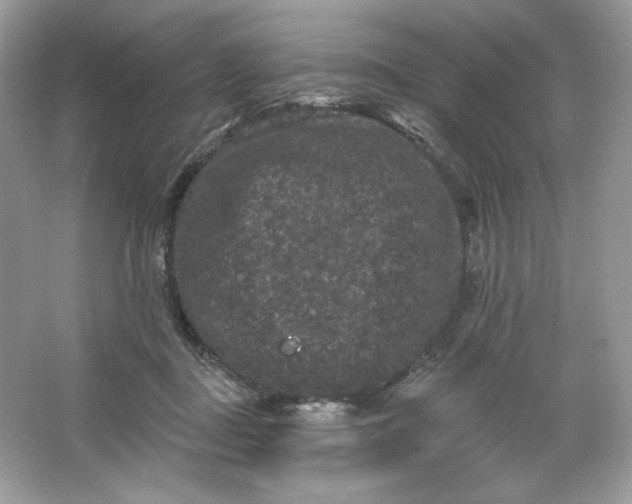 X0000066010363200603171512