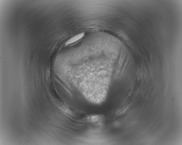 X0000066010365200603171512