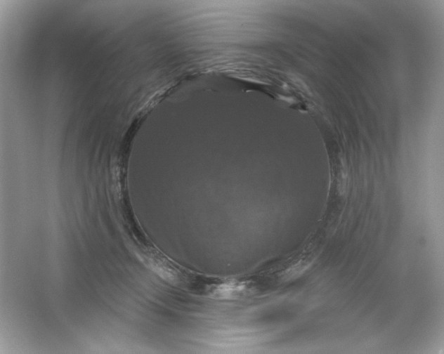 X0000066010366200603171512