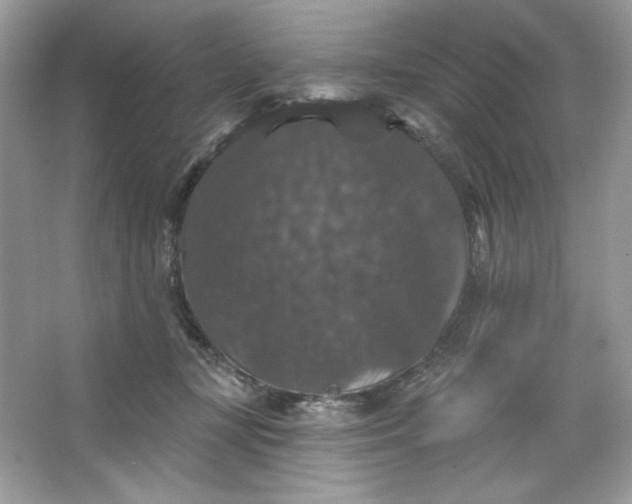 X0000066010367200603171512