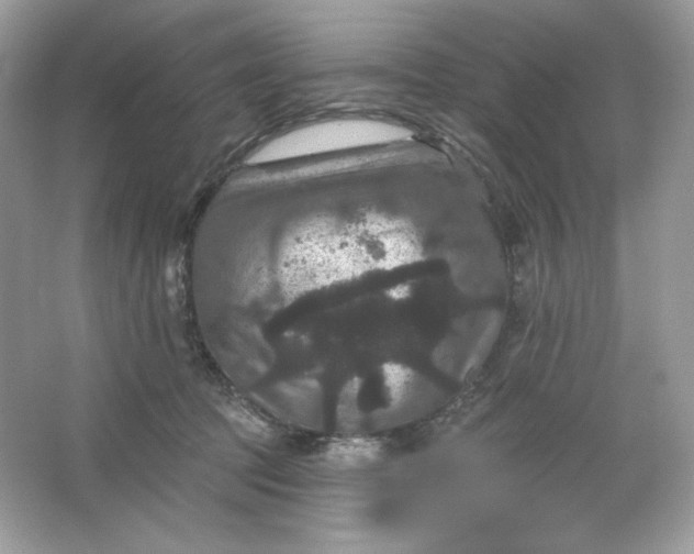 X0000066010369200603171512