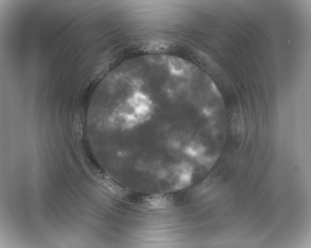 X0000066010370200603171512