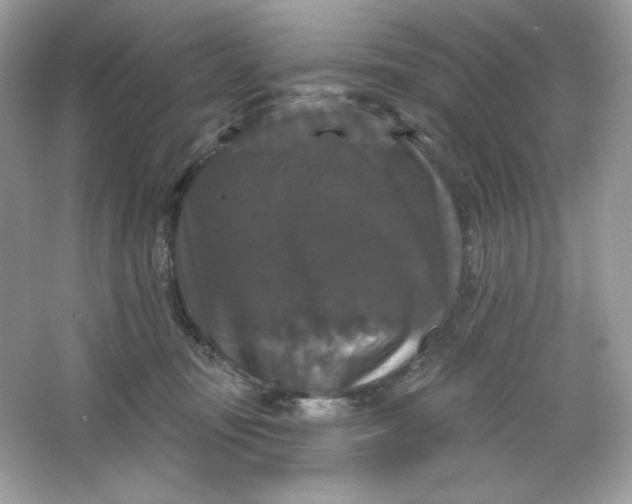 X0000066010371200603171512