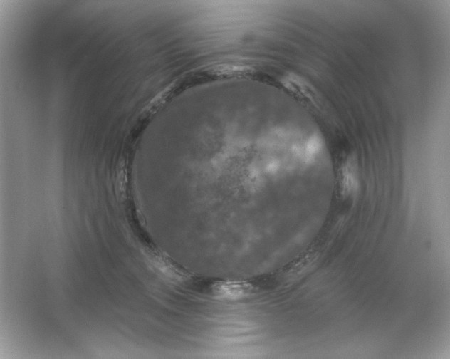 X0000066010372200603171512