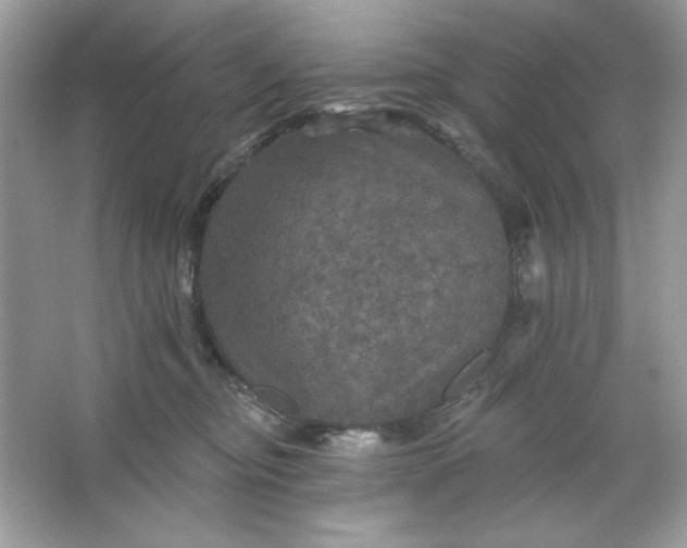 X0000066010374200603171512