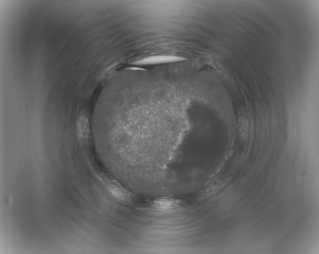 X0000066010375200603171512