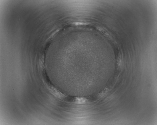 X0000066010376200603171512