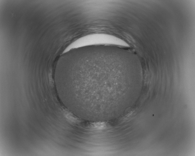 X0000066010377200603171512