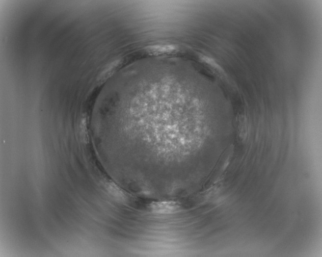 X0000066010378200603171512