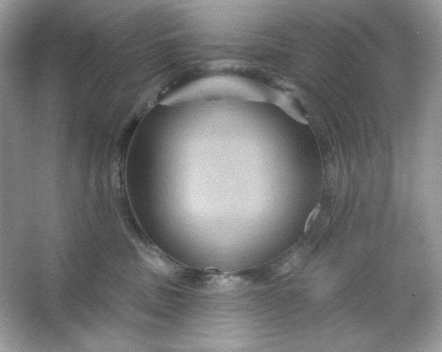 X0000066010379200603171512