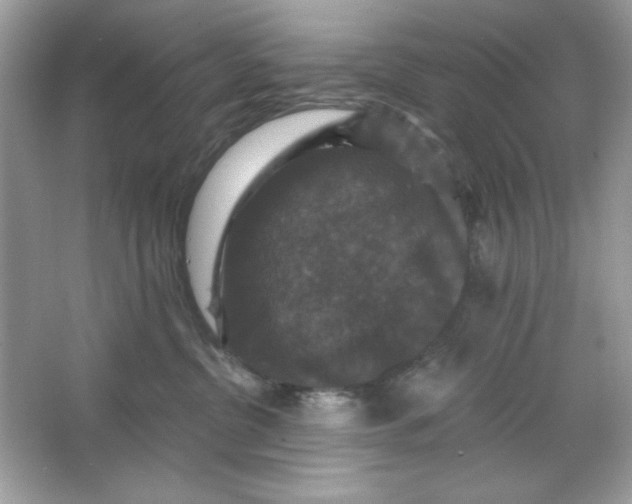 X0000066010380200603171512