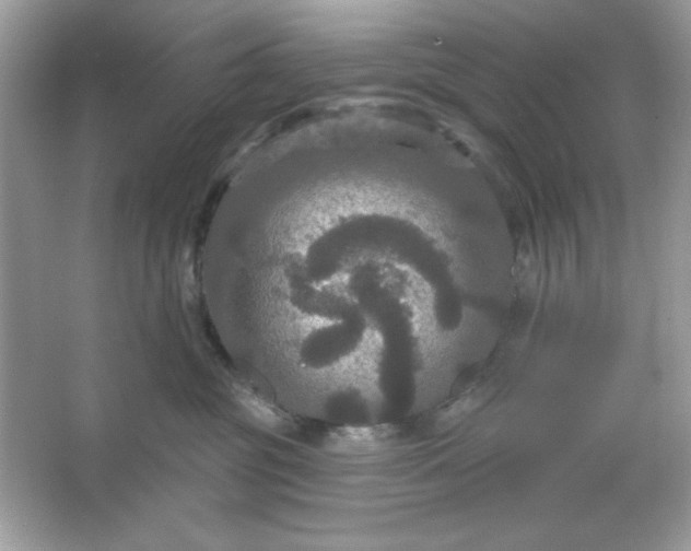 X0000066010381200603171512