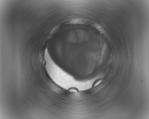 X0000066010382200603171512