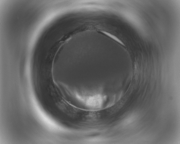 X0000066010383200603171512