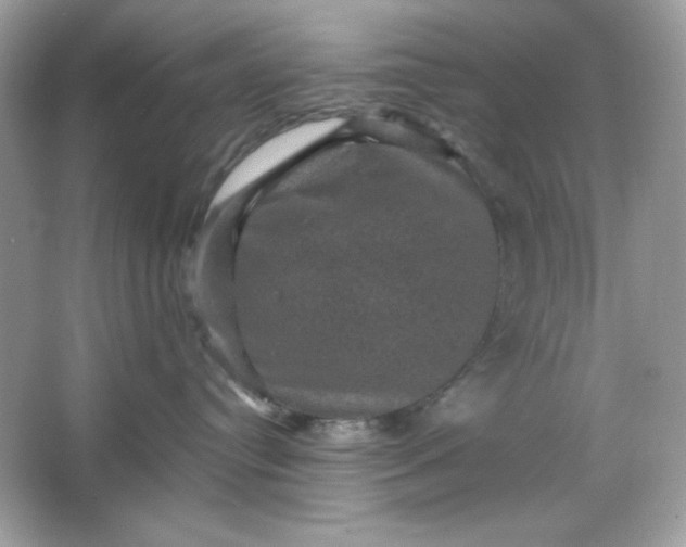 X0000066010384200603171512