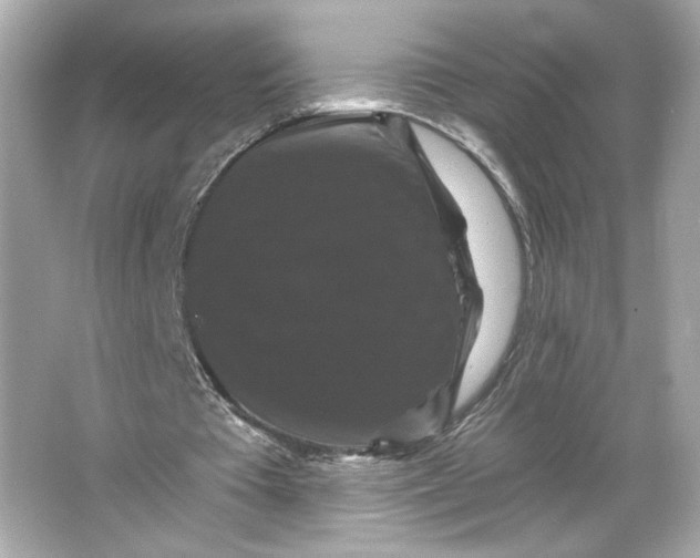 X0000066010385200603171511