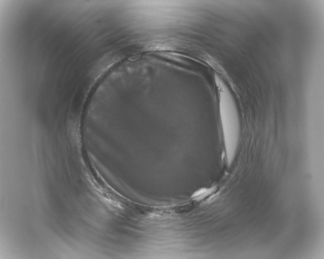 X0000066010386200603171511