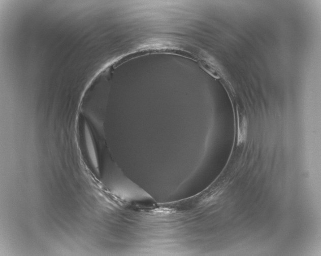 X0000066010387200603171511