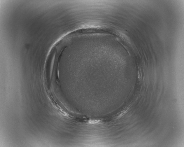 X0000066010388200603171511