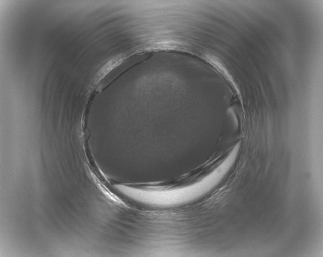 X0000066010389200603171511