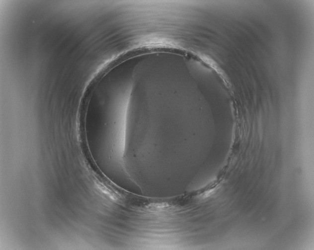 X0000066010391200603171511