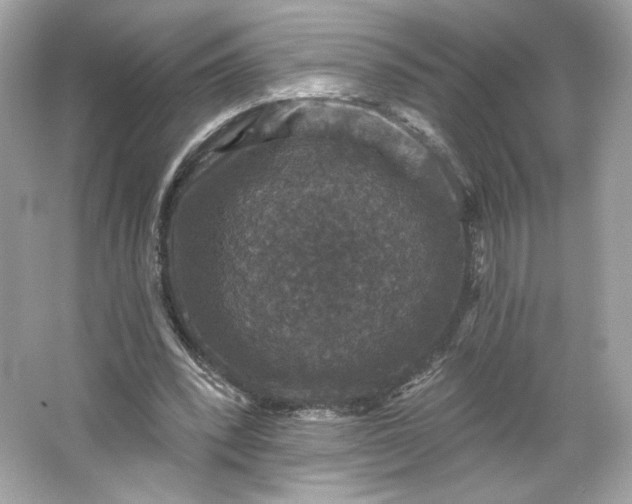 X0000066010392200603171511