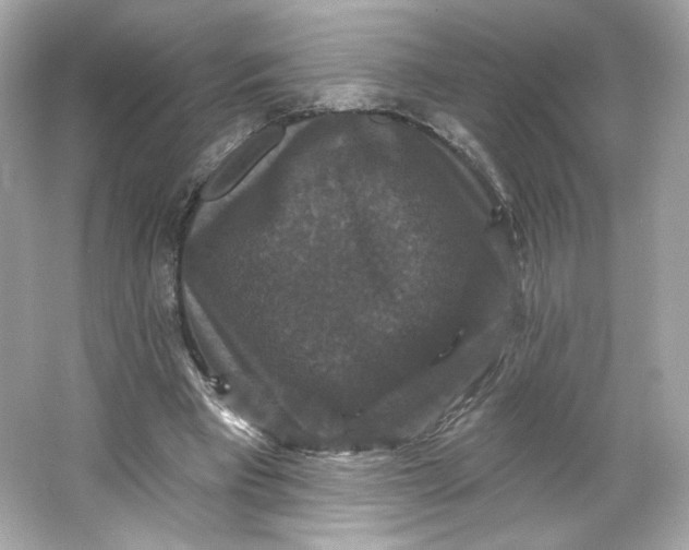 X0000066010393200603171511