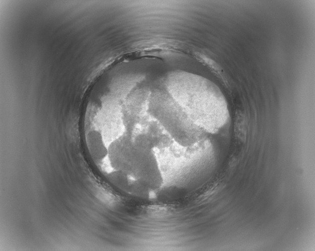 X0000066010394200603171511